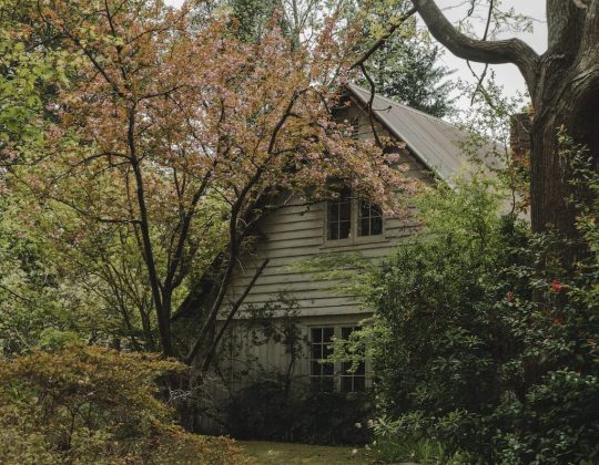 Wooden house in rural area