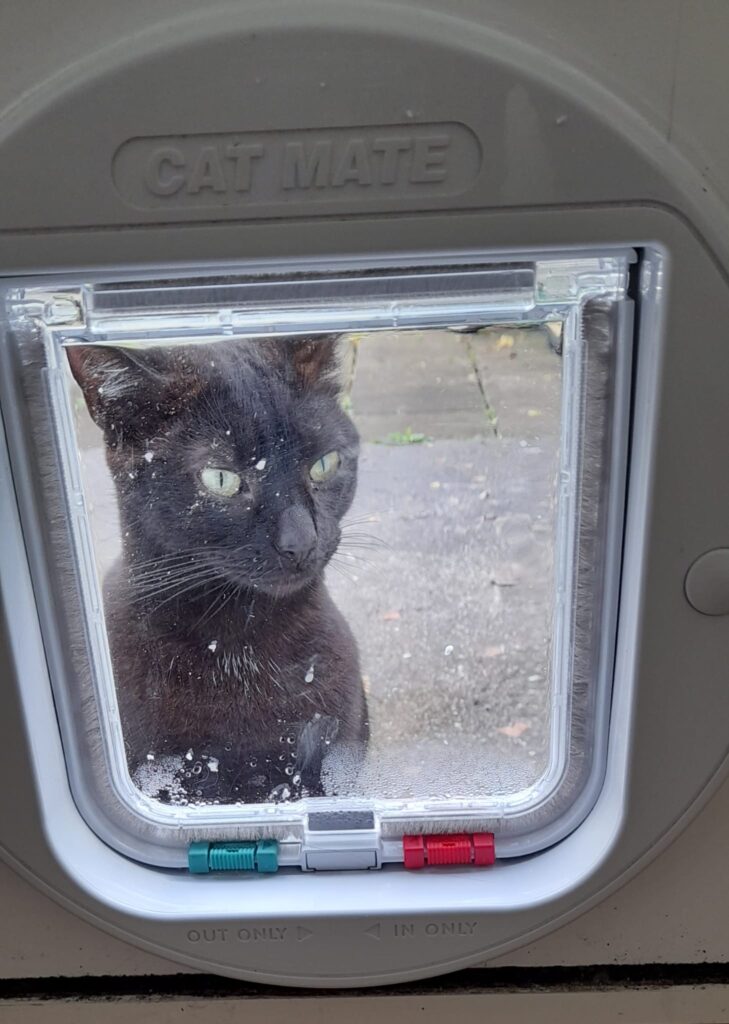 Cat Flaps